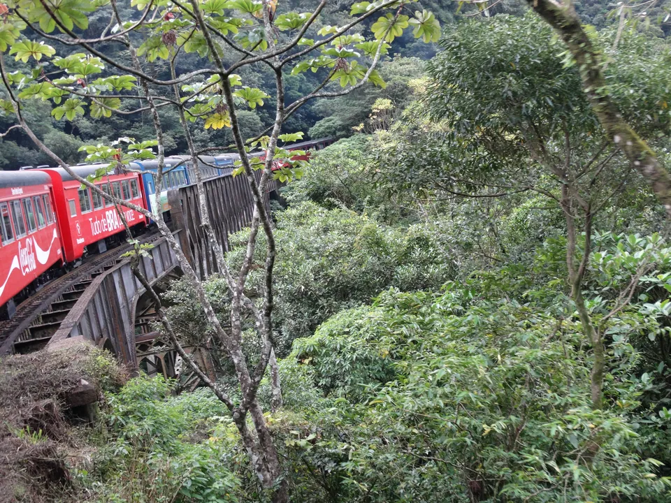 Trem turístico atravessando a Serra do Mar no trajeto de Curitiba a Morretes