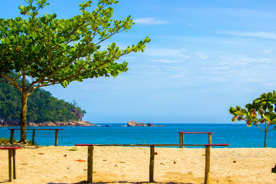 Praia de Camburi, em Ubatuba (SP), com mar azul e mata atlântica